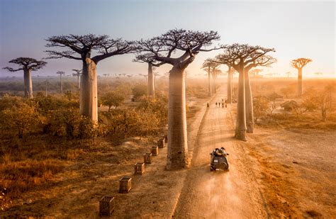 Madagaskar .